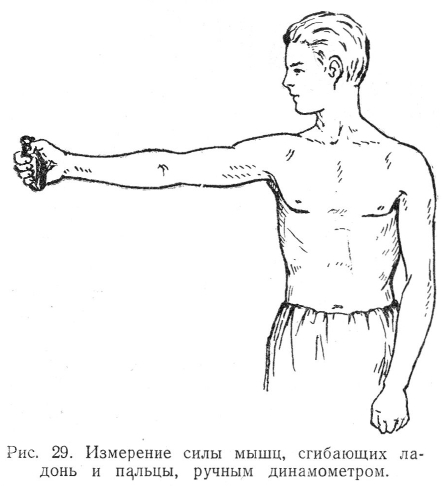 Измерение силы мышц, сгибающих ла- донь и пцльцы, ручным динамометром